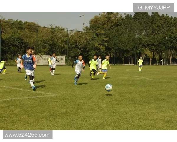 足球清风引领绿茵场上的激情与梦想共舞的青春旋律