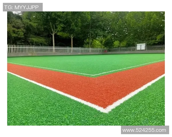 足球草坪地毯的选择与维护技巧助你打造完美运动场地